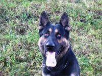 /album/fotogaleria/oliver1-jpg/